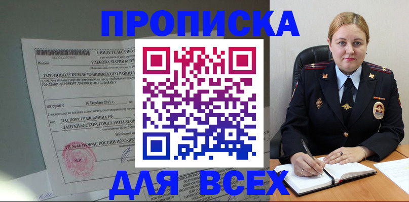 прописка поиск в Железногорске